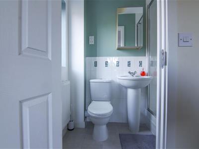 Picture 20